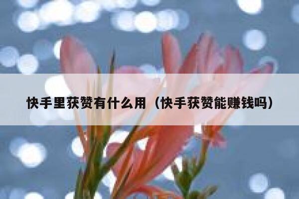 快手里获赞有什么用（快手获赞能赚钱吗） 第1张