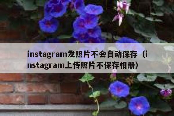 instagram发照片不会自动保存(instagram上传照片不保存相册) 第1张 instagram发照片不会自动保存(instagram上传照片不保存相册) 第1张