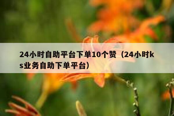 24小时自助平台下单10个赞（24小时ks业务自助下单平台） 第1张