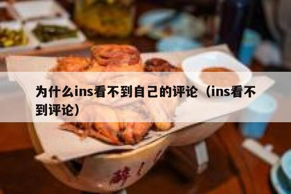 为什么ins看不到自己的评论（ins看不到评论） 第1张