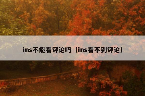 ins不能看评论吗（ins看不到评论） 第1张
