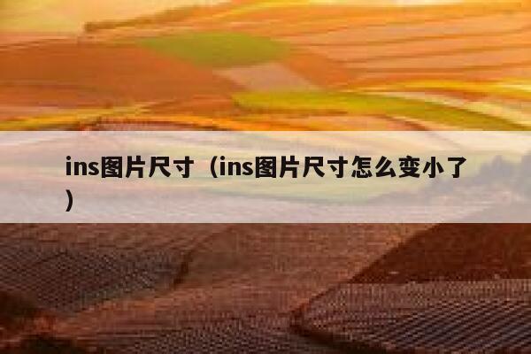ins图片尺寸（ins图片尺寸怎么变小了） 第1张