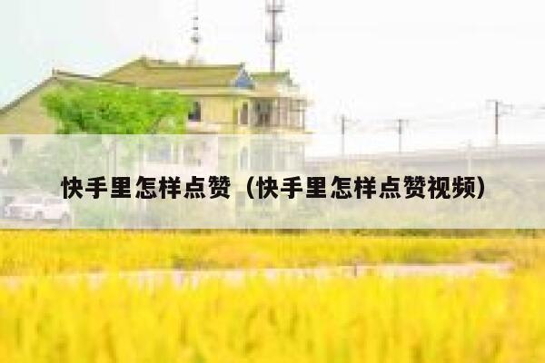 快手里怎样点赞（快手里怎样点赞视频） 第1张