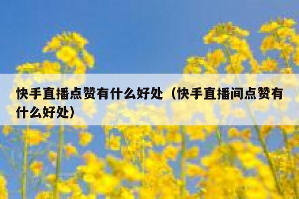 快手直播点赞有什么好处（快手直播间点赞有什么好处） 第1张