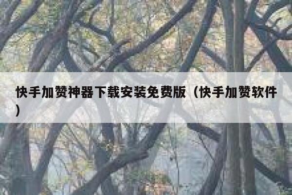 快手加赞神器下载安装免费版（快手加赞软件） 第1张