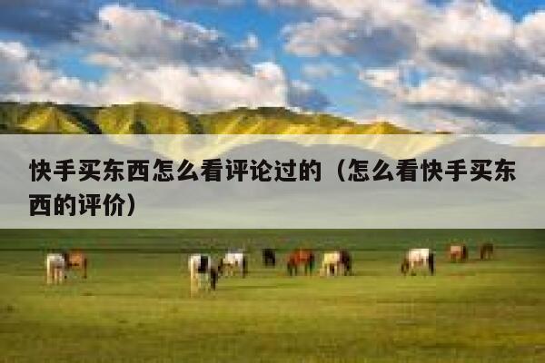 快手买东西怎么看评论过的（怎么看快手买东西的评价） 第1张