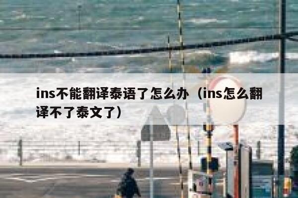 ins不能翻译泰语了怎么办（ins怎么翻译不了泰文了） 第1张