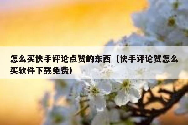 怎么买快手评论点赞的东西（快手评论赞怎么买软件下载免费） 第1张