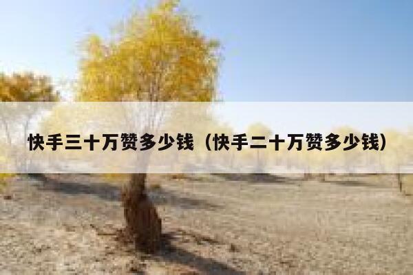 快手三十万赞多少钱（快手二十万赞多少钱） 第1张