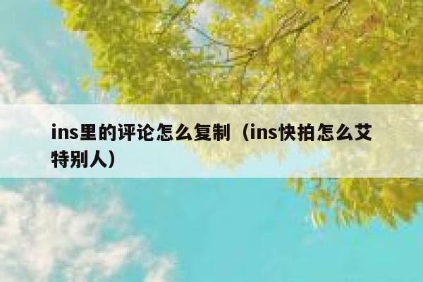 ins里的评论怎么复制（ins快拍怎么艾特别人） 第1张