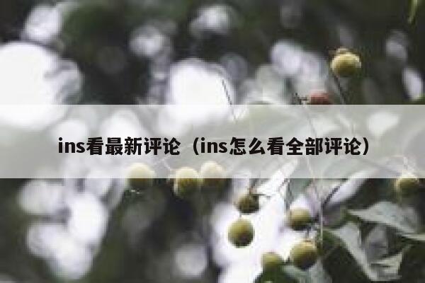 ins看最新评论(ins怎么看全部评论) 第1张 ins看最新评论(ins怎么看全部评论) 第1张