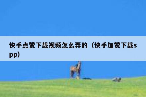 快手点赞下载视频怎么弄的（快手加赞下载spp） 第1张