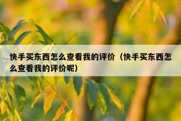 快手买东西怎么查看我的评价（快手买东西怎么查看我的评价呢） 第1张