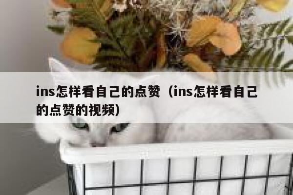 ins怎样看自己的点赞（ins怎样看自己的点赞的视频） 第1张