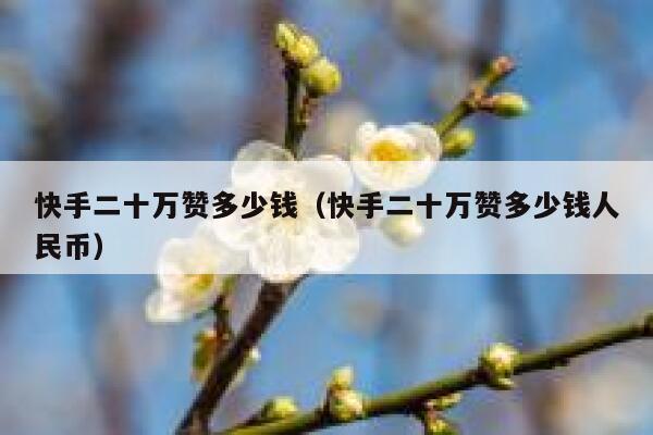 快手二十万赞多少钱（快手二十万赞多少钱人民币） 第1张