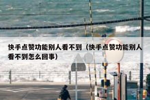 快手点赞功能别人看不到（快手点赞功能别人看不到怎么回事） 第1张