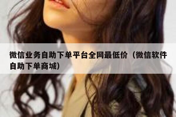 微信业务自助下单平台全网最低价（微信软件自助下单商城） 第1张