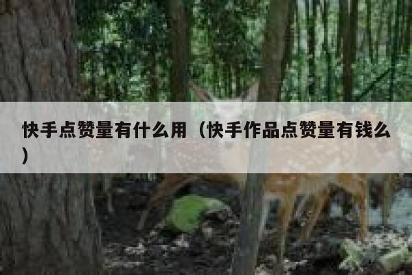 快手点赞量有什么用（快手作品点赞量有钱么） 第1张