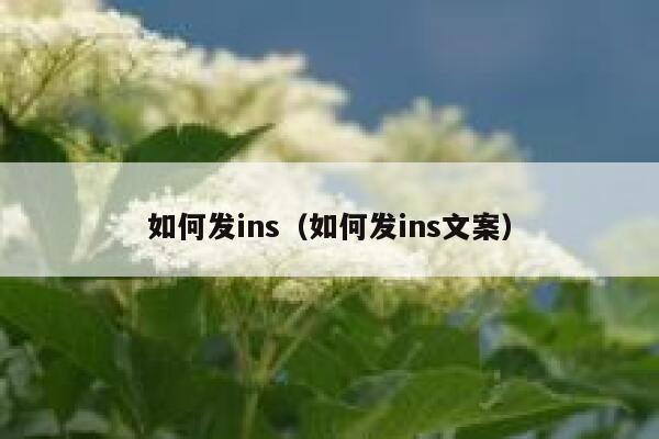 如何发ins（如何发ins文案） 第1张