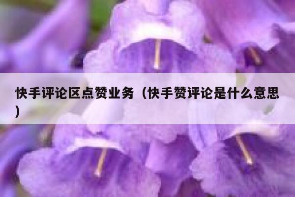 快手评论区点赞业务（快手赞评论是什么意思） 第1张