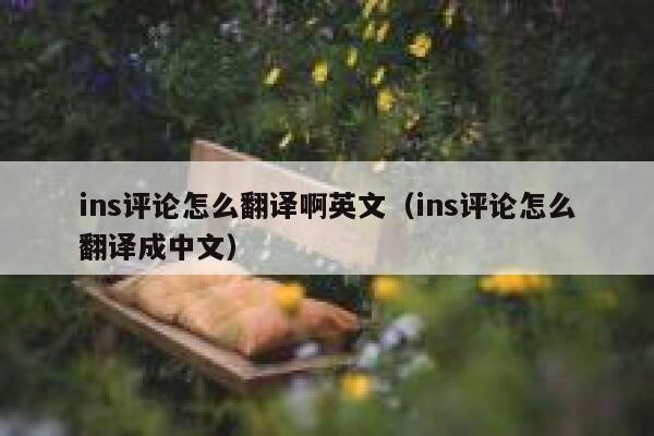ins评论怎么翻译啊英文（ins评论怎么翻译成中文） 第1张