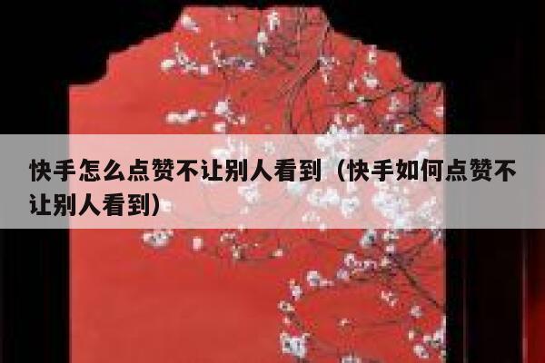 快手怎么点赞不让别人看到(快手如何点赞不让别人看到) 第1张 快手怎么点赞不让别人看到(快手如何点赞不让别人看到) 第1张