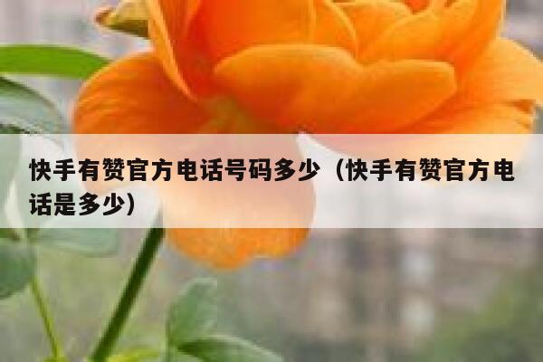 快手有赞官方电话号码多少(快手有赞官方电话是多少) 第1张 快手有赞官方电话号码多少(快手有赞官方电话是多少) 第1张