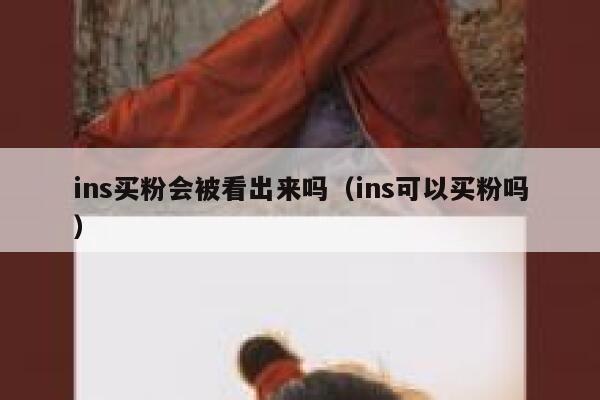 ins买粉会被看出来吗（ins可以买粉吗） 第1张