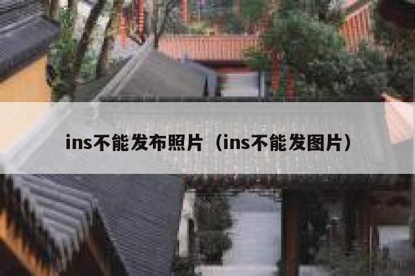 ins不能发布照片（ins不能发图片） 第1张