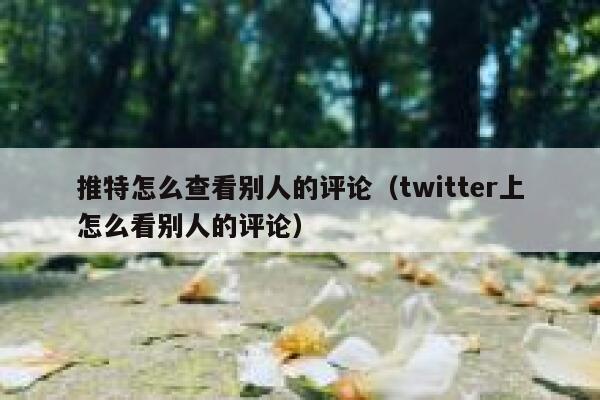 推特怎么查看别人的评论（twitter上怎么看别人的评论） 第1张