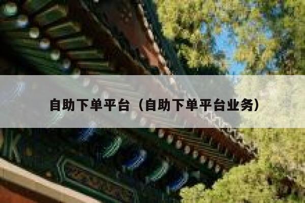 自助下单平台(自助下单平台业务) 第1张 自助下单平台(自助下单平台业务) 第1张