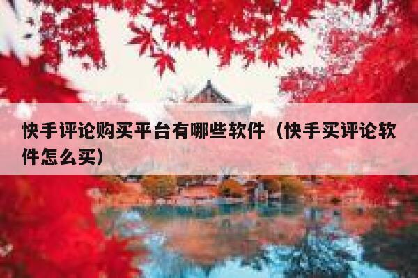 快手评论购买平台有哪些软件（快手买评论软件怎么买） 第1张