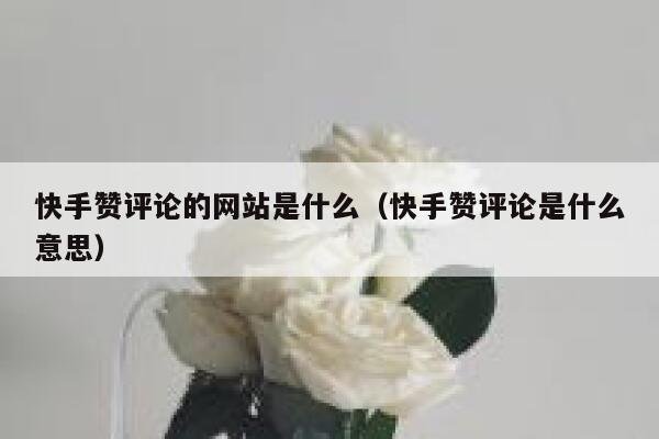 快手赞评论的网站是什么（快手赞评论是什么意思） 第1张