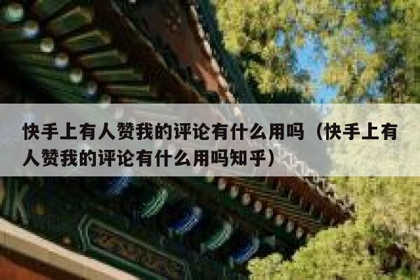 快手上有人赞我的评论有什么用吗（快手上有人赞我的评论有什么用吗知乎） 第1张