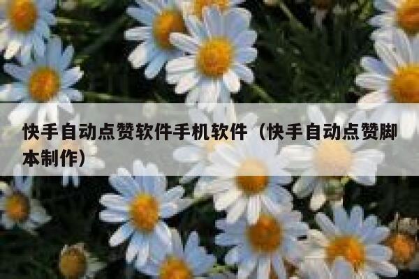 快手自动点赞软件手机软件(快手自动点赞脚本制作) 第1张 快手自动点赞软件手机软件(快手自动点赞脚本制作) 第1张