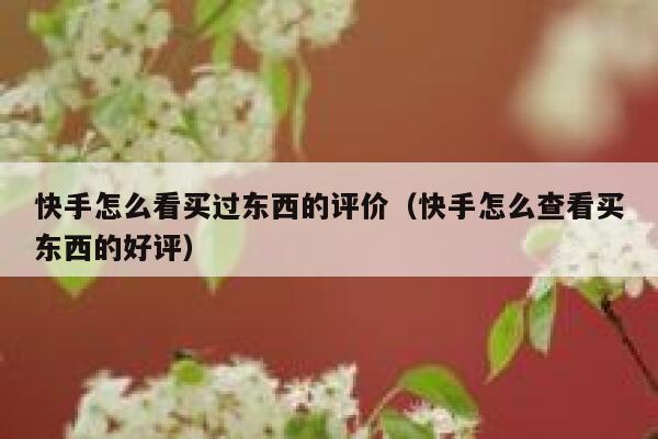 快手怎么看买过东西的评价(快手怎么查看买东西的好评) 第1张 快手怎么看买过东西的评价(快手怎么查看买东西的好评) 第1张