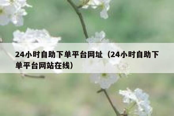 24小时自助下单平台网址（24小时自助下单平台网站在线） 第1张