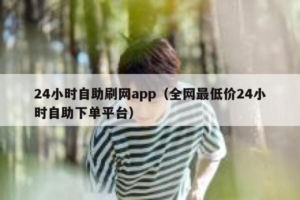 24小时自助刷网app（全网最低价24小时自助下单平台） 第1张