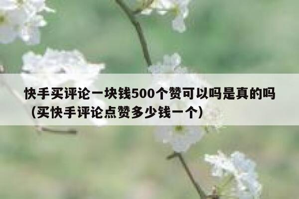 快手买评论一块钱500个赞可以吗是真的吗(买快手评论点赞多少钱一个) 第1张 快手买评论一块钱500个赞可以吗是真的吗(买快手评论点赞多少钱一个) 第1张
