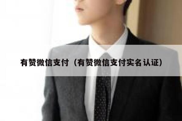 有赞微信支付（有赞微信支付实名认证） 第1张
