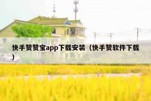 快手赞赞宝app下载安装（快手赞软件下载） 第1张