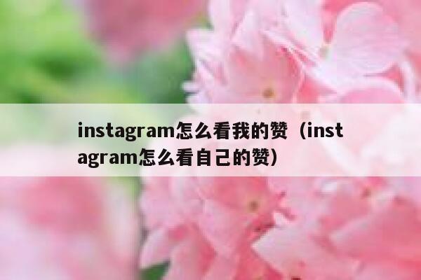 instagram怎么看我的赞（instagram怎么看自己的赞） 第1张