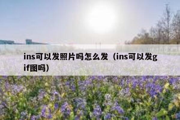 ins可以发照片吗怎么发(ins可以发gif图吗) 第1张 ins可以发照片吗怎么发(ins可以发gif图吗) 第1张