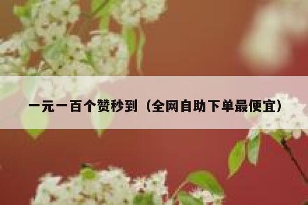 一元一百个赞秒到（全网自助下单最便宜） 第1张