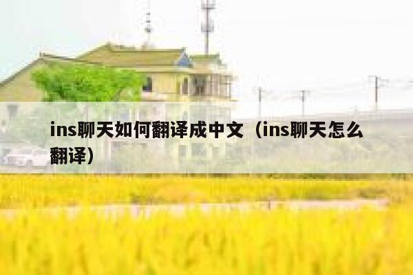 ins聊天如何翻译成中文（ins聊天怎么翻译） 第1张