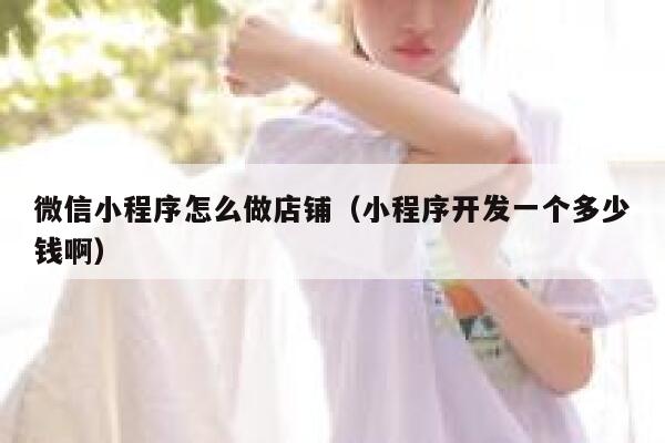 微信小程序怎么做店铺（小程序开发一个多少钱啊） 第1张