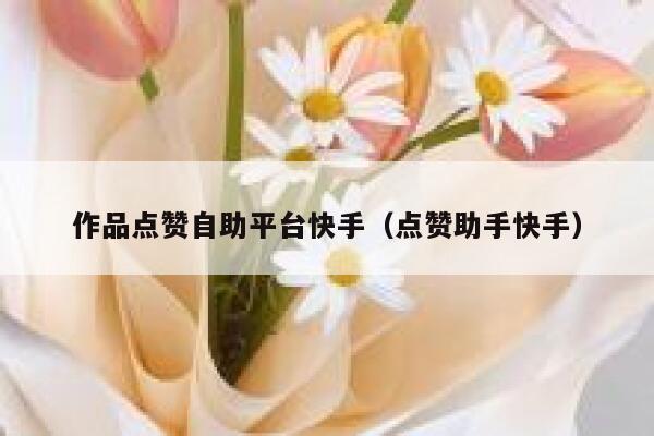 作品点赞自助平台快手（点赞助手快手） 第1张