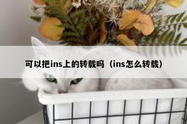 可以把ins上的转载吗（ins怎么转载） 第1张