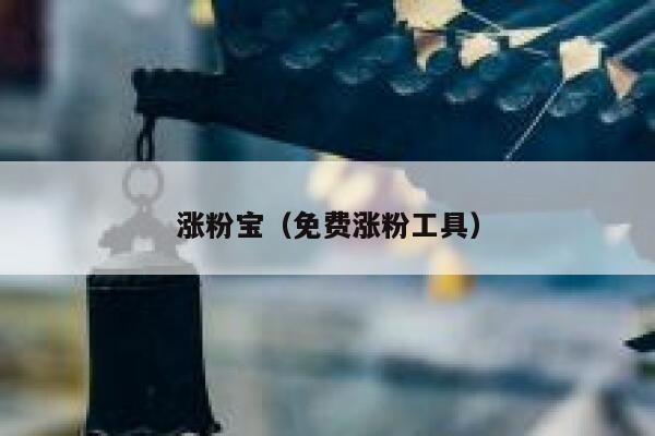 涨粉宝(免费涨粉工具) 第1张 涨粉宝(免费涨粉工具) 第1张