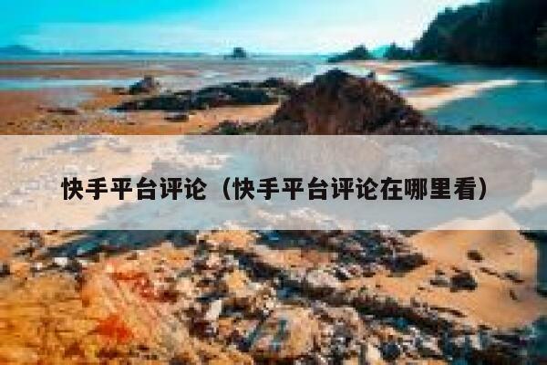 快手平台评论（快手平台评论在哪里看） 第1张
